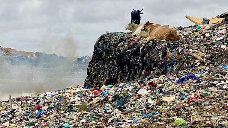 clothing in landfills