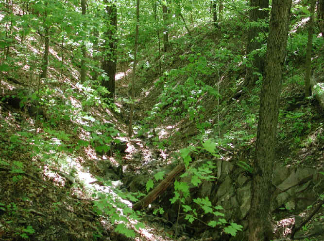 Cohotate Preserve - 25 May 2002 Field Trip - 05