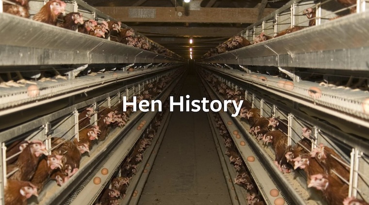 egg farm