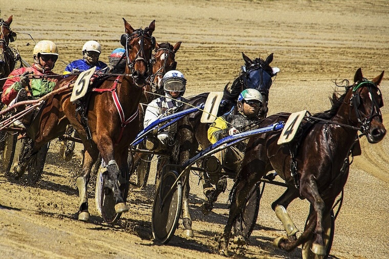 harness racing