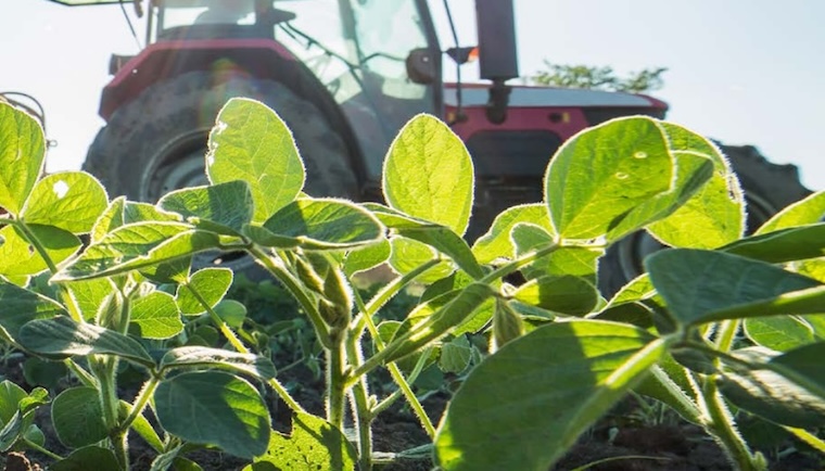 hazardous pesticides