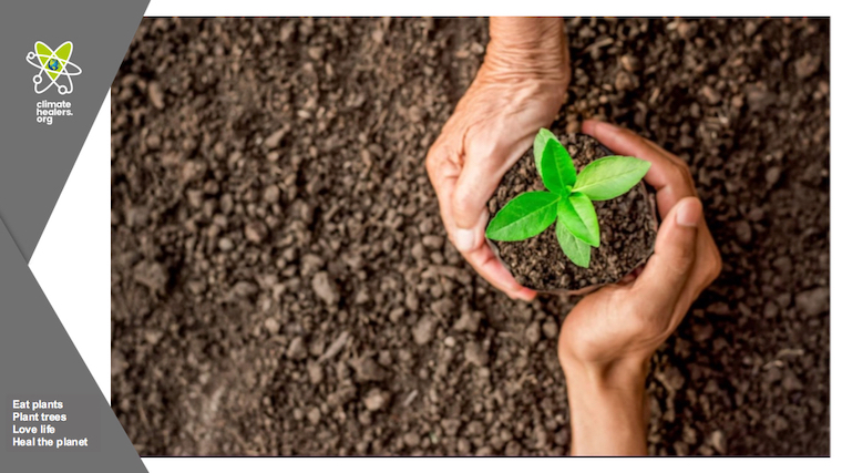 climate healers