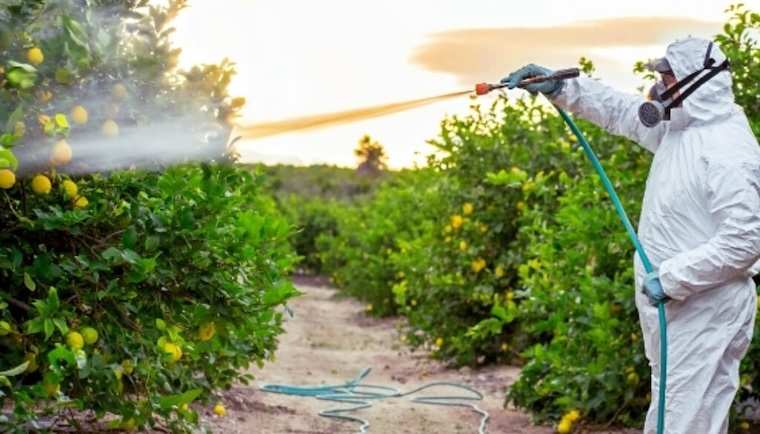 spraying pesticides
