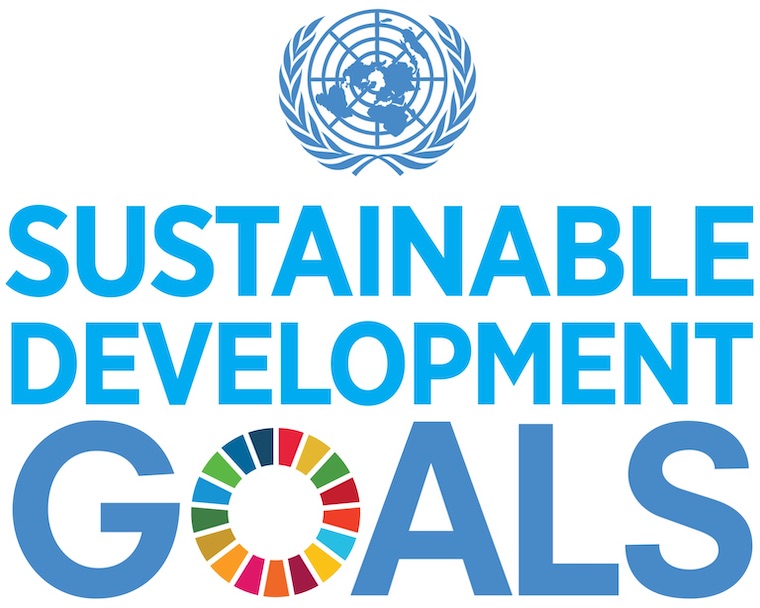 UN development goals