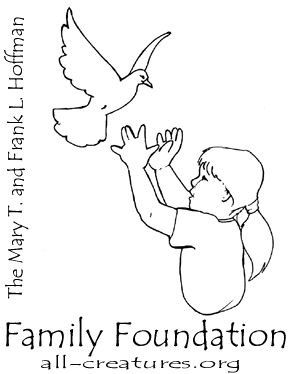 mtflhff3.gif (10563 bytes)