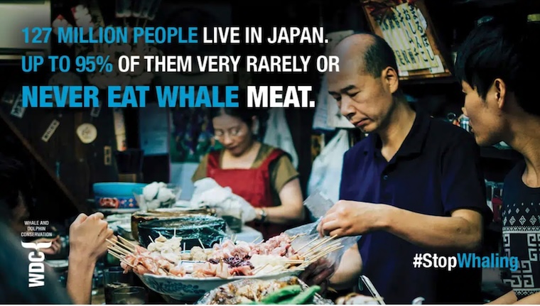 Japanese food