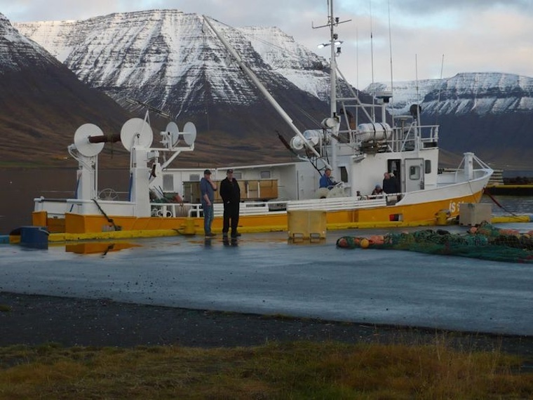Captain Paul Watson