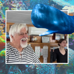 image with Paul Watson and whale
