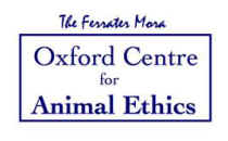 Oxford animal ethics
