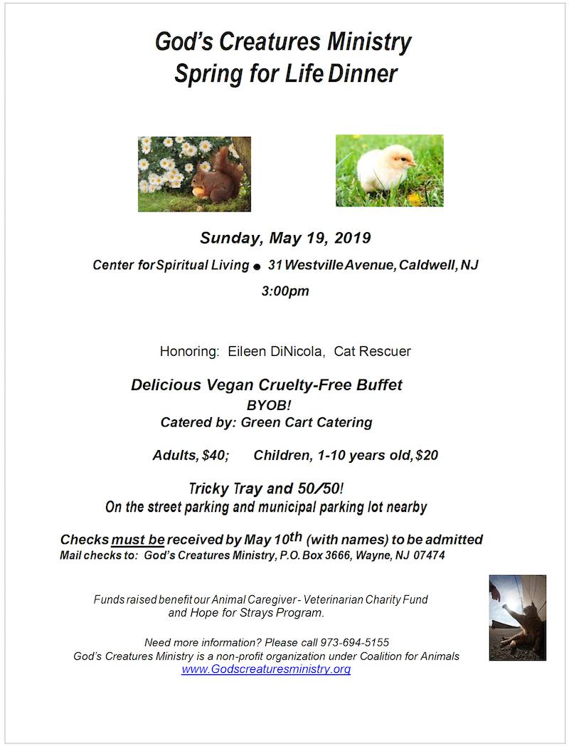 Spring for Life dinner
