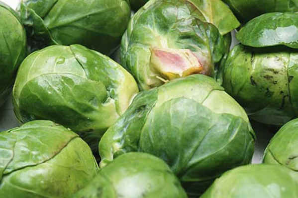 Anti Cancer Foods - 2