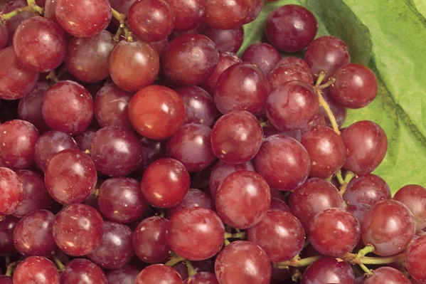 Anti Cancer Foods - 3