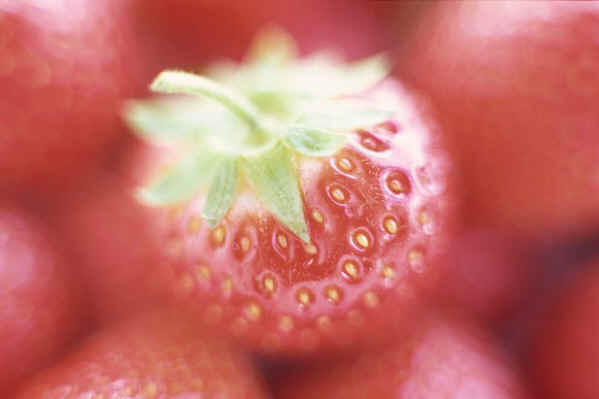 Anti Cancer Foods - 6