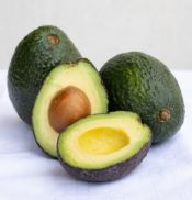avocado1