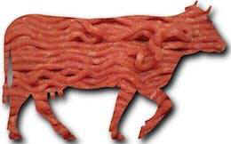 happy meal cholesterol