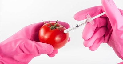 tomato injection