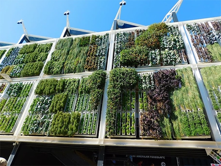 vegetable garden walls