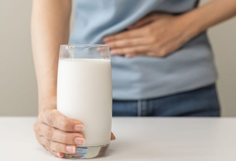 dairy gut