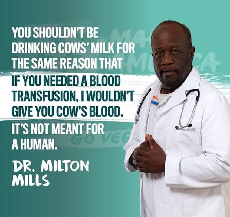 Milton Mills