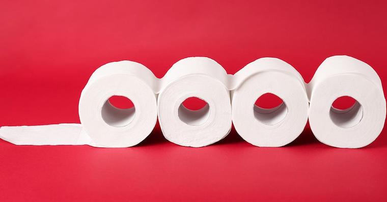 toilet paper rolls