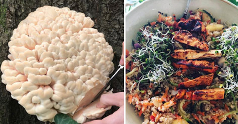 mushrooms