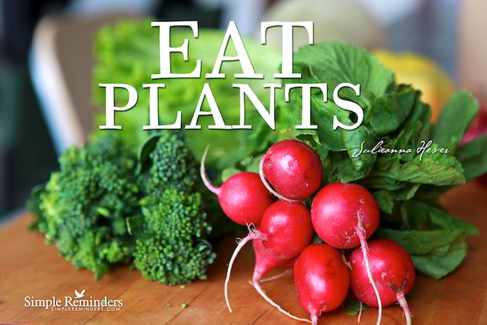 eat plants