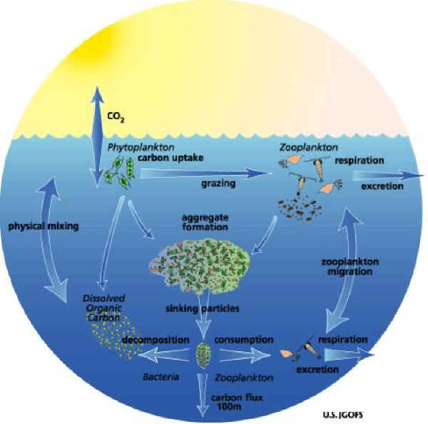 Global Warming of the Global Warming of the