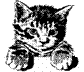 hr-199801-04-cat