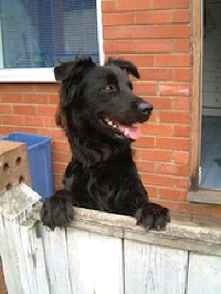 ../images/ar-hrc-halloween-01