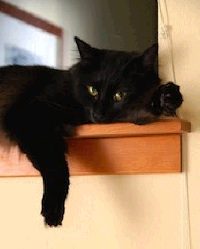 ../images/ar-hrc-halloween-02