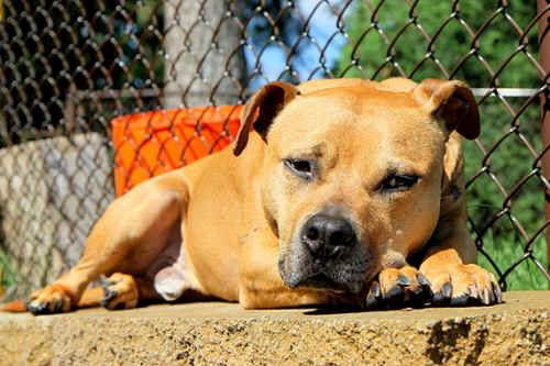 ../images/ar-zoe-lost-01