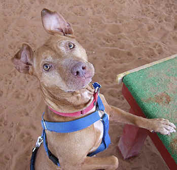 ../images/ar-zoe-lost-03