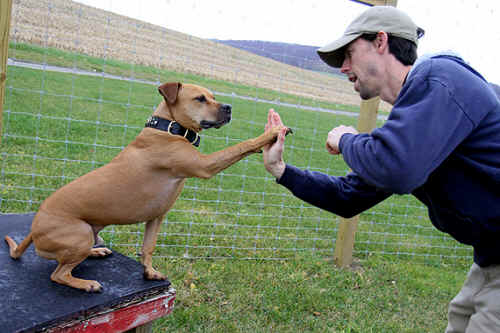 ../images/ar-zoe-lost-04