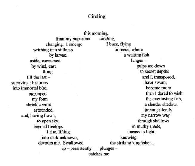 wpe4AC.jpg (244821 bytes)