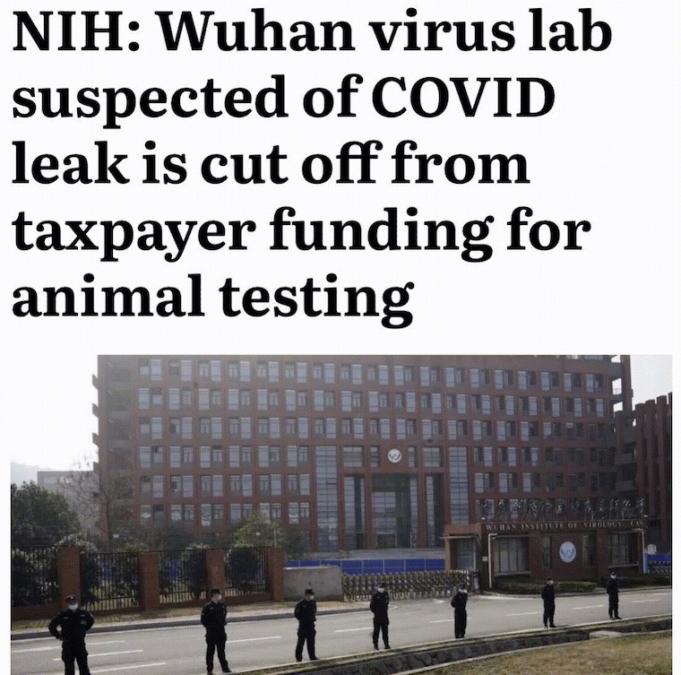 Wuhan lab