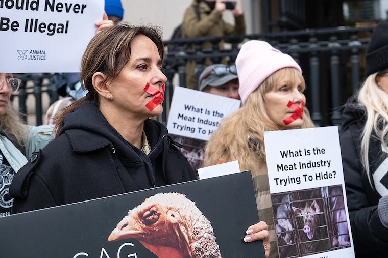 gagging Activists