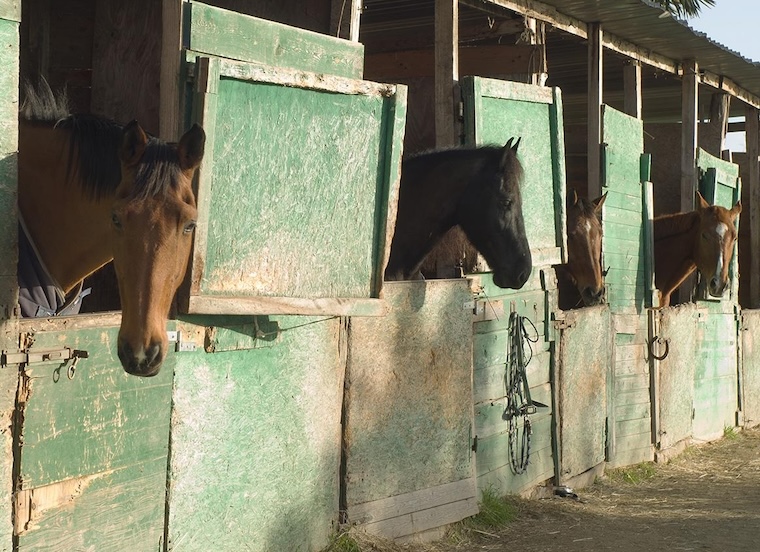 horse stable