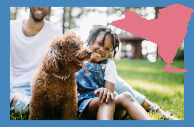 image of dog and child and NY state