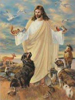 Advent Message - 9 Dec 2016