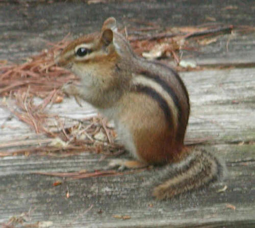 Mother's Day 2006 - 02