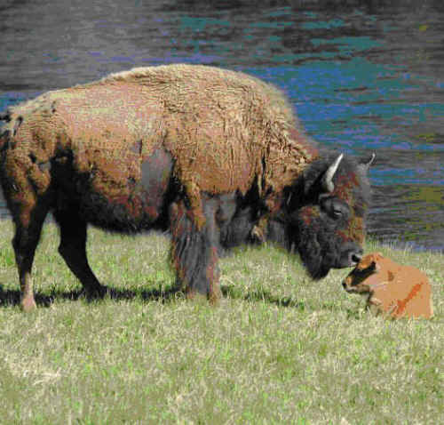 Mother's Day 2007 - 02