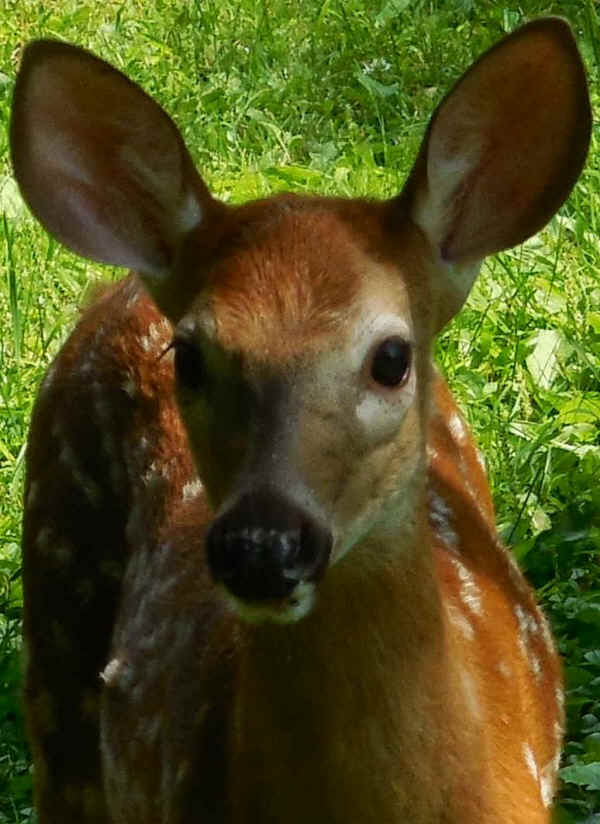 From Frank to Mary on Mother's Day - 2015-02