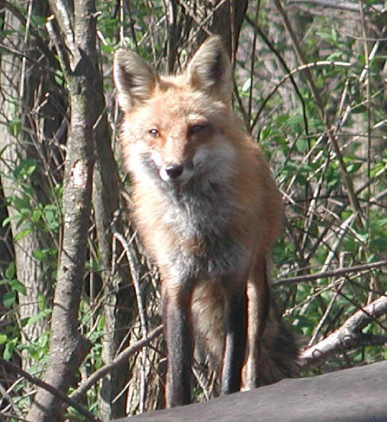 Mother's Day 2018 - 02