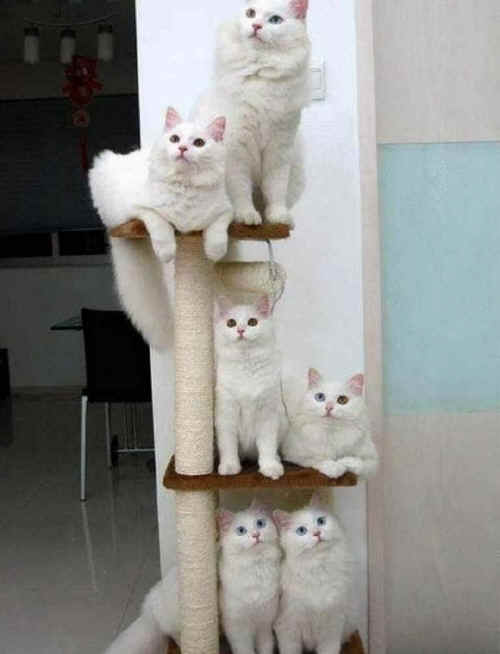 Valentines Day 2011 - 02