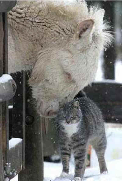 Valentine's Day 2014 - 01