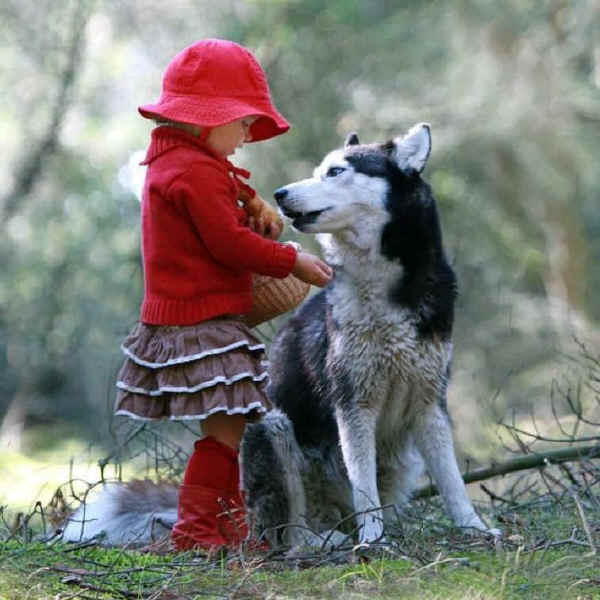 Valentine's Day 2015 - 01