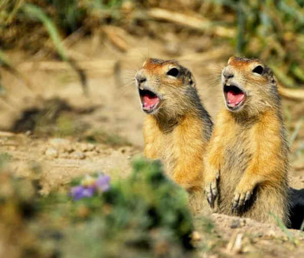 Valentine's Day 2015 - 02