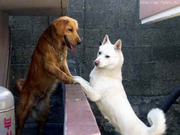 Valentine's Day 2016 - 2