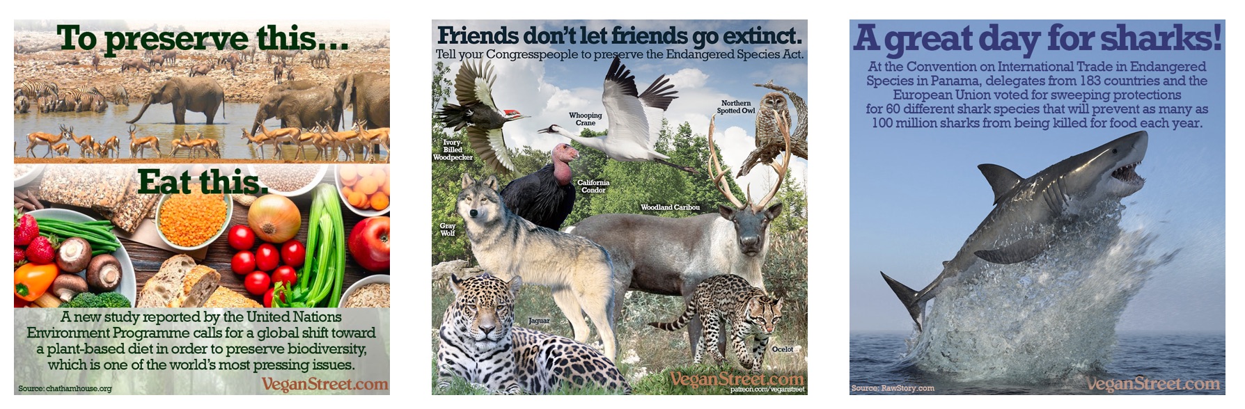 great extinction