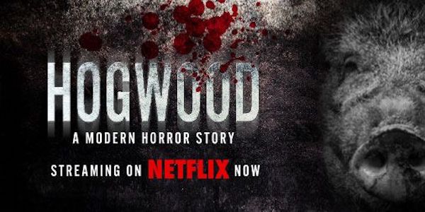 Hogwood documentary